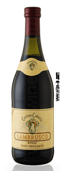 Lambrusco Condessa Carlota